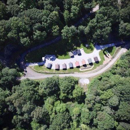 Forest Pod 4 Pet Friendly Villa Neath Esterno foto