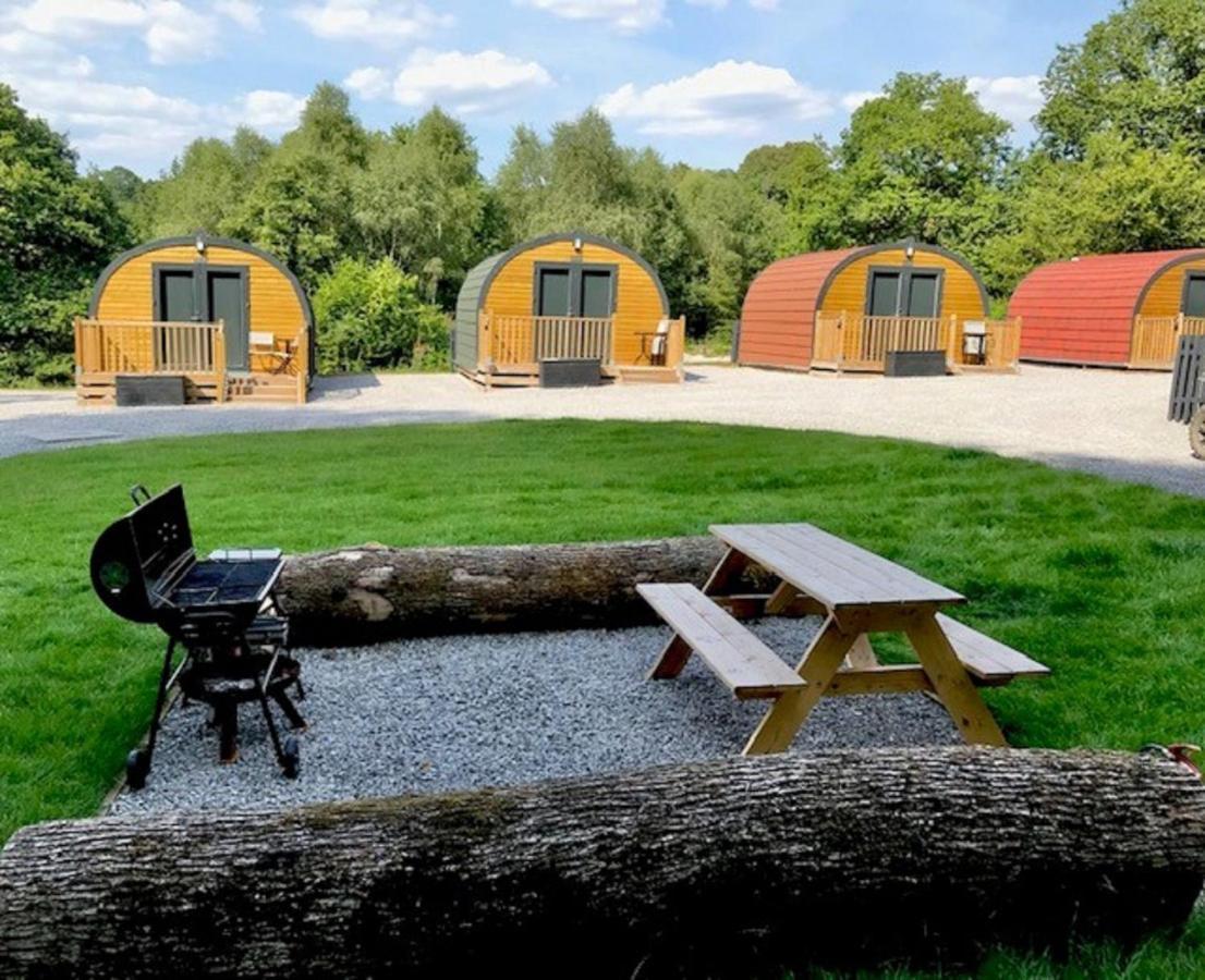 Forest Pod 4 Pet Friendly Villa Neath Esterno foto